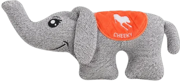 CHEEKY ゾウ